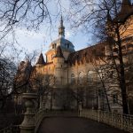 budapest_bois_3