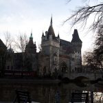 budapest_bois_4