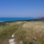 eraclea_minoa_3