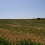 eraclea_minoa_5