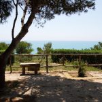 eraclea_minoa_6