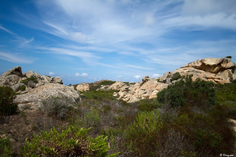 isola_caprera_2