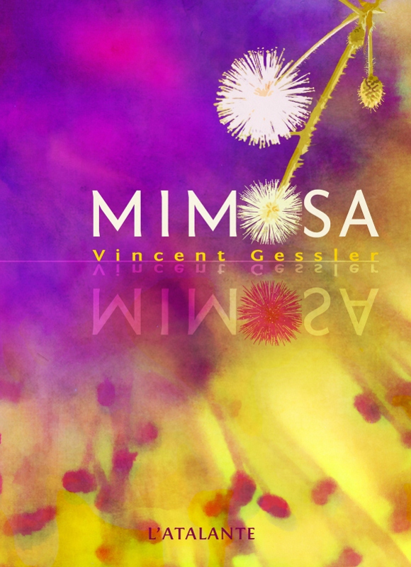 Mimosa – Vincent Gessler