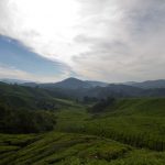 malaisie_cameron_highlands_67