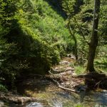 castans_sentier_ruisseaux_13