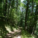 castans_sentier_ruisseaux_6