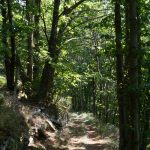 pic_nore_sentier_panoramas_48