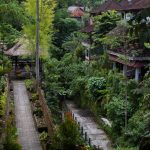 voyage-indonerie-ubud-25