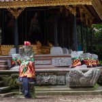 voyage-indonerie-ubud-38