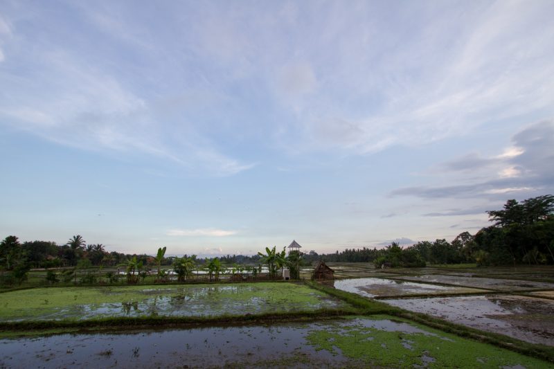 voyage-indonesie-ubud-61