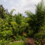 voyage-indonesie-ubud-bucu-view-1