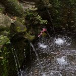 voyage-indonesie-ubud-bucu-view-14