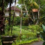 voyage-indonesie-ubud-bucu-view-6