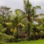 voyage-indonesie-ubud-bucu-view-8