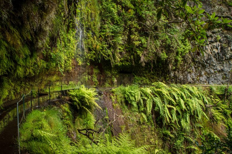 portugal-madere-levada-do-rei-25