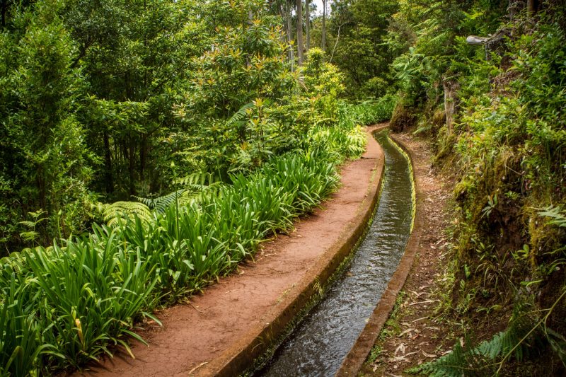 portugal-madere-levada-do-rei-4