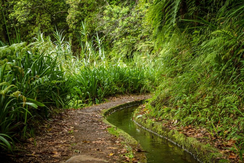 portugal-madere-levada-do-rei-6