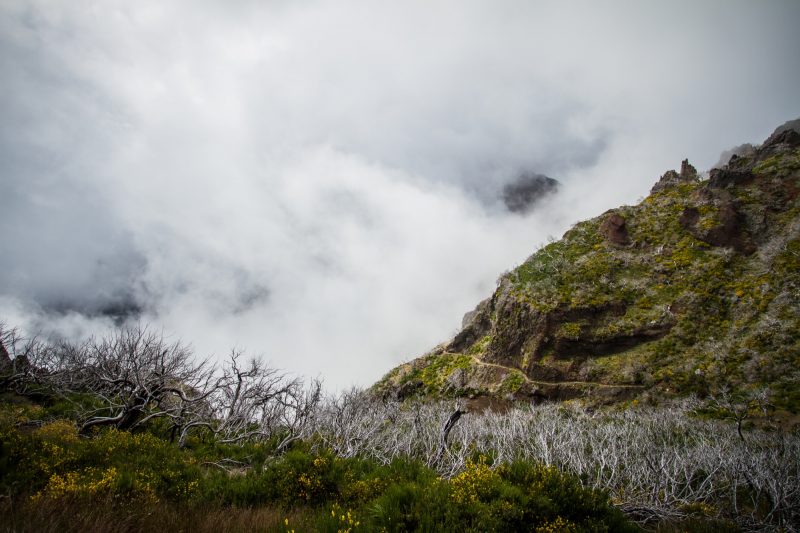 portugal-madere-pico-ruivo-20