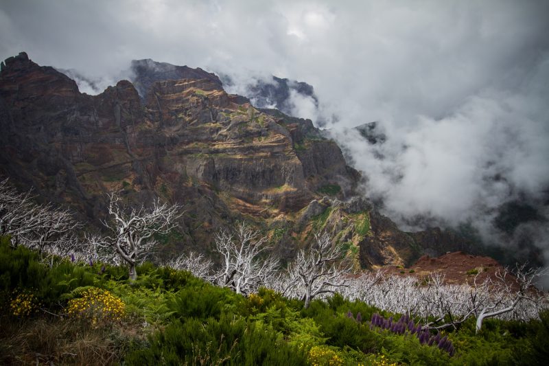 portugal-madere-pico-ruivo-25