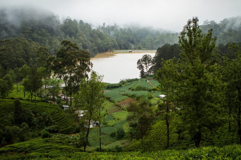 sri-lanka-nuwara-elya-24