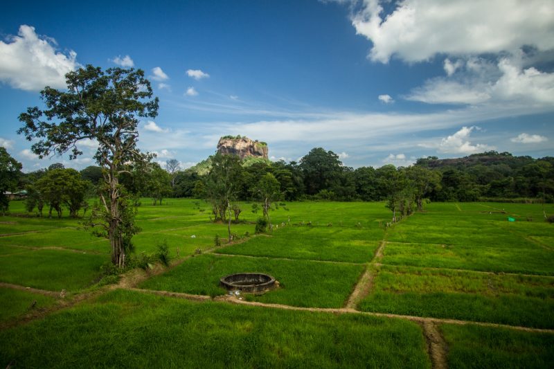 sri-lanka-sigiriya-108