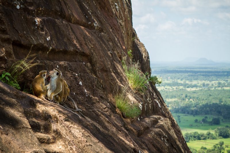 sri-lanka-sigiriya-95