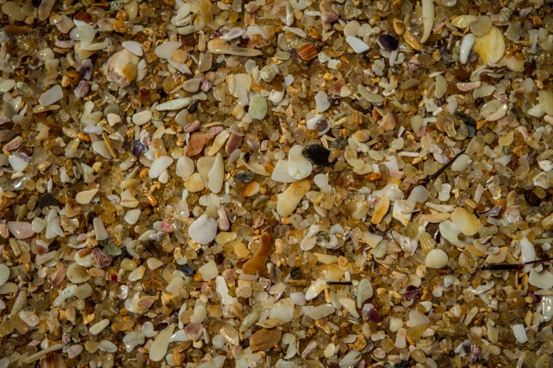 Visite de Tangalle : plage, mangrove et joli temple, concentré de Sri Lanka