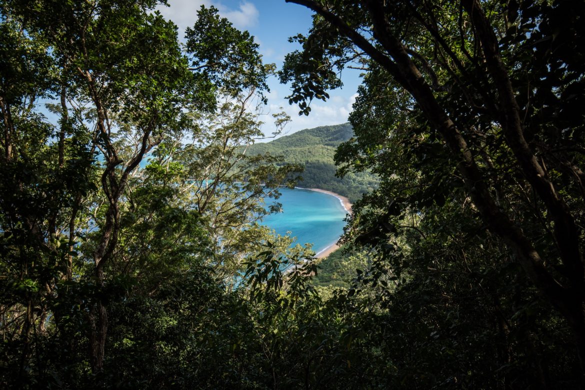 Randonnée et visite en Guadeloupe Gros Morne et Jardin de Deshaies