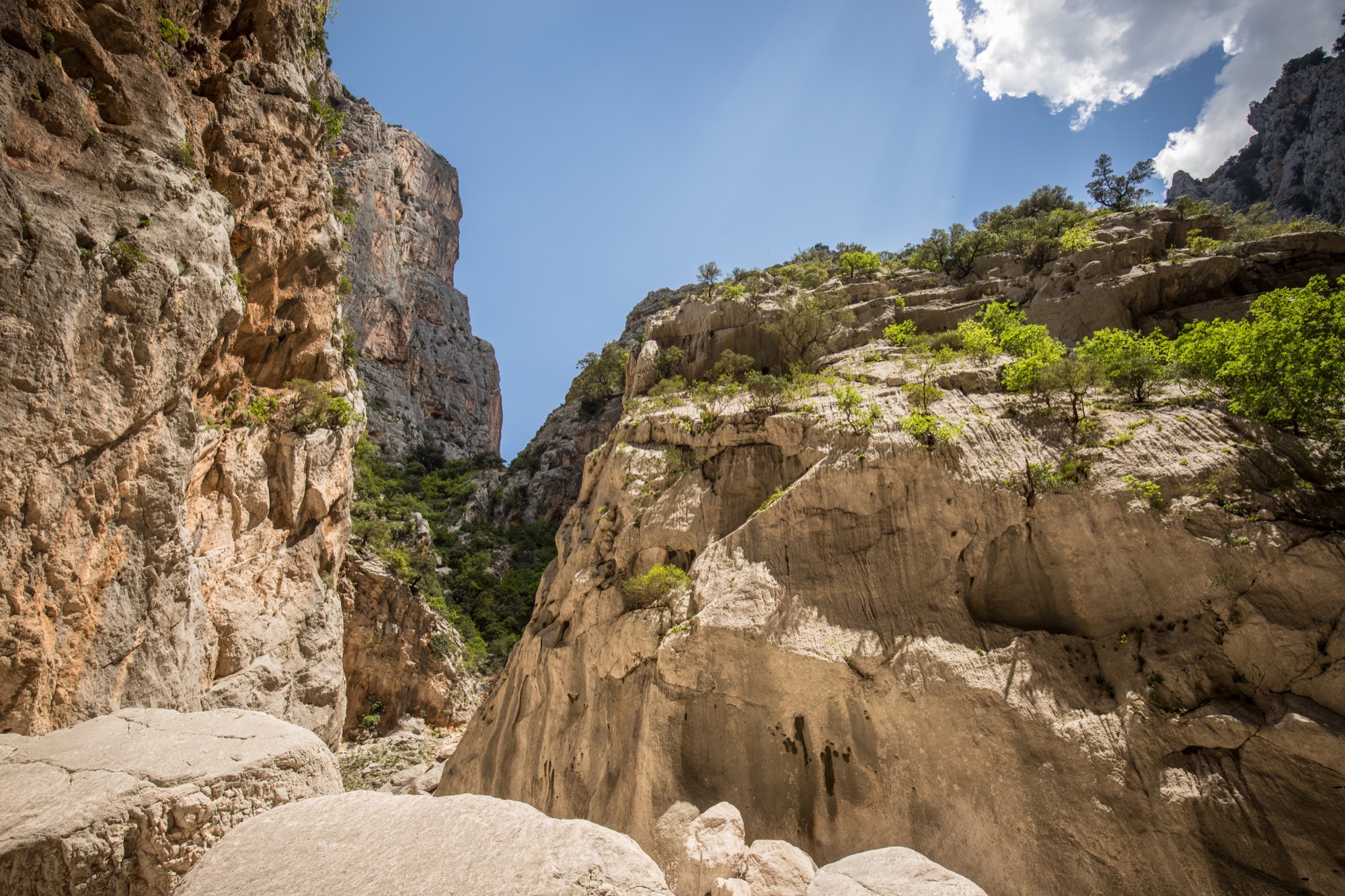 Gola Di Gorropu Randonn e Dans Le Supramonte De Sardaigne